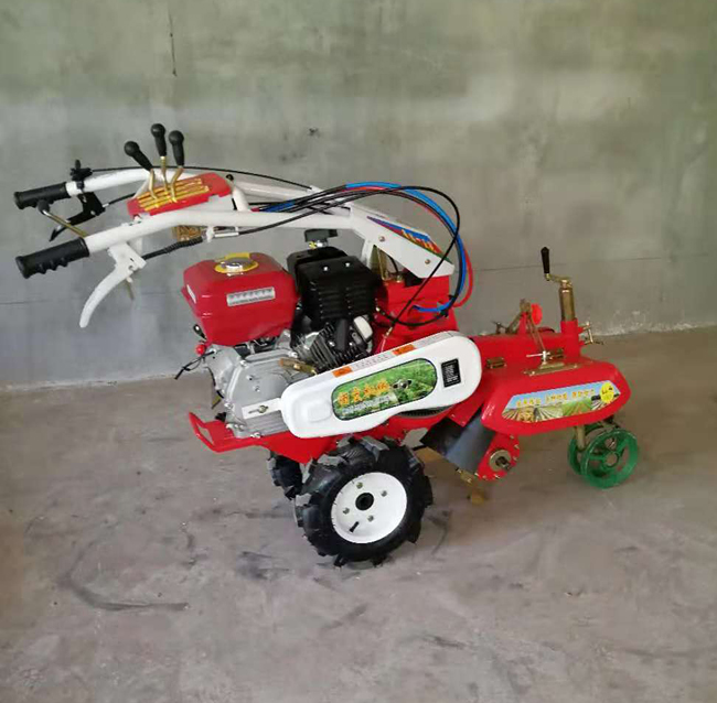 链条一体天天5G天天奭看片免费