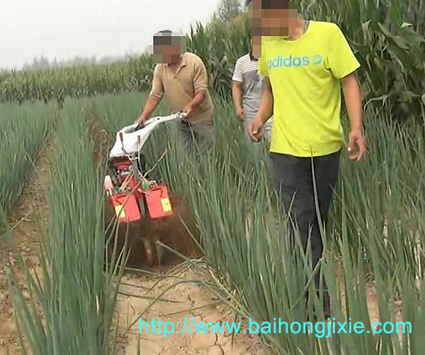 大葱专用开沟成人天天看片
